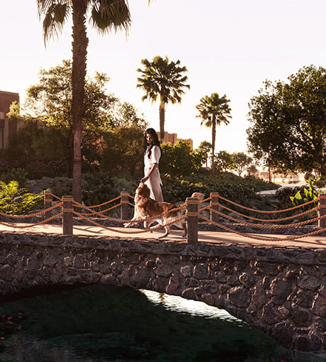 Verdes by Haven — exterior view in Haven By Aldar