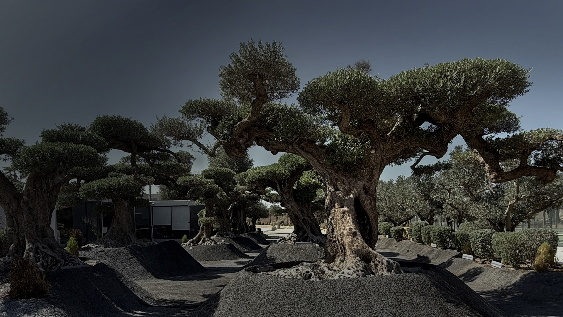Keturah Resort — exterior view in Al Jaddaf