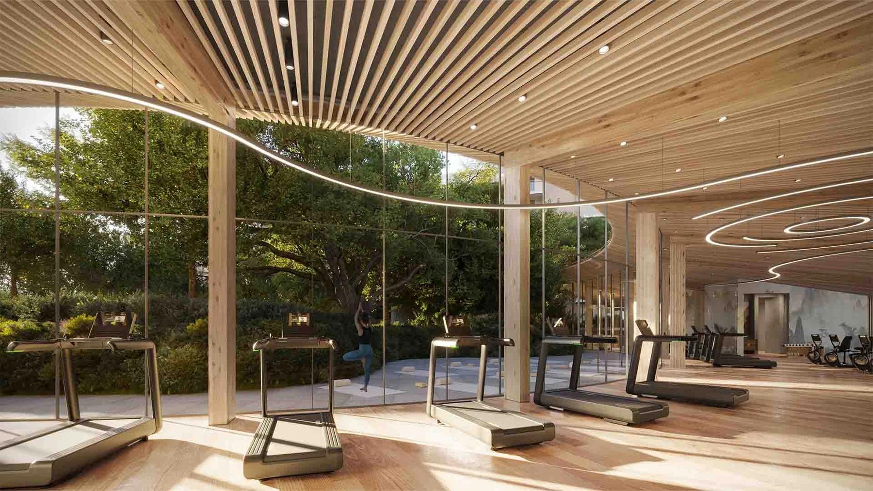 Cilia at Ghaf Woods — Projektbild — in Ghaf Woods