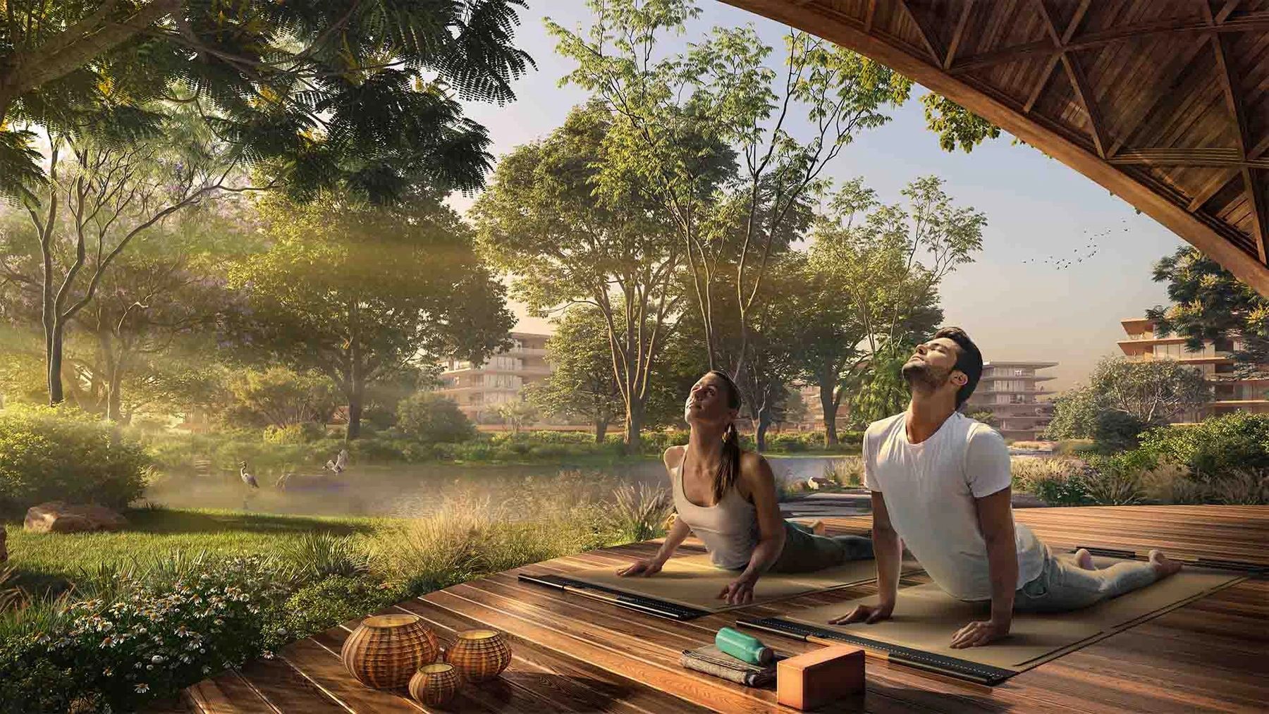 Serra at Ghaf Woods — Projektbild — in Ghaf Woods