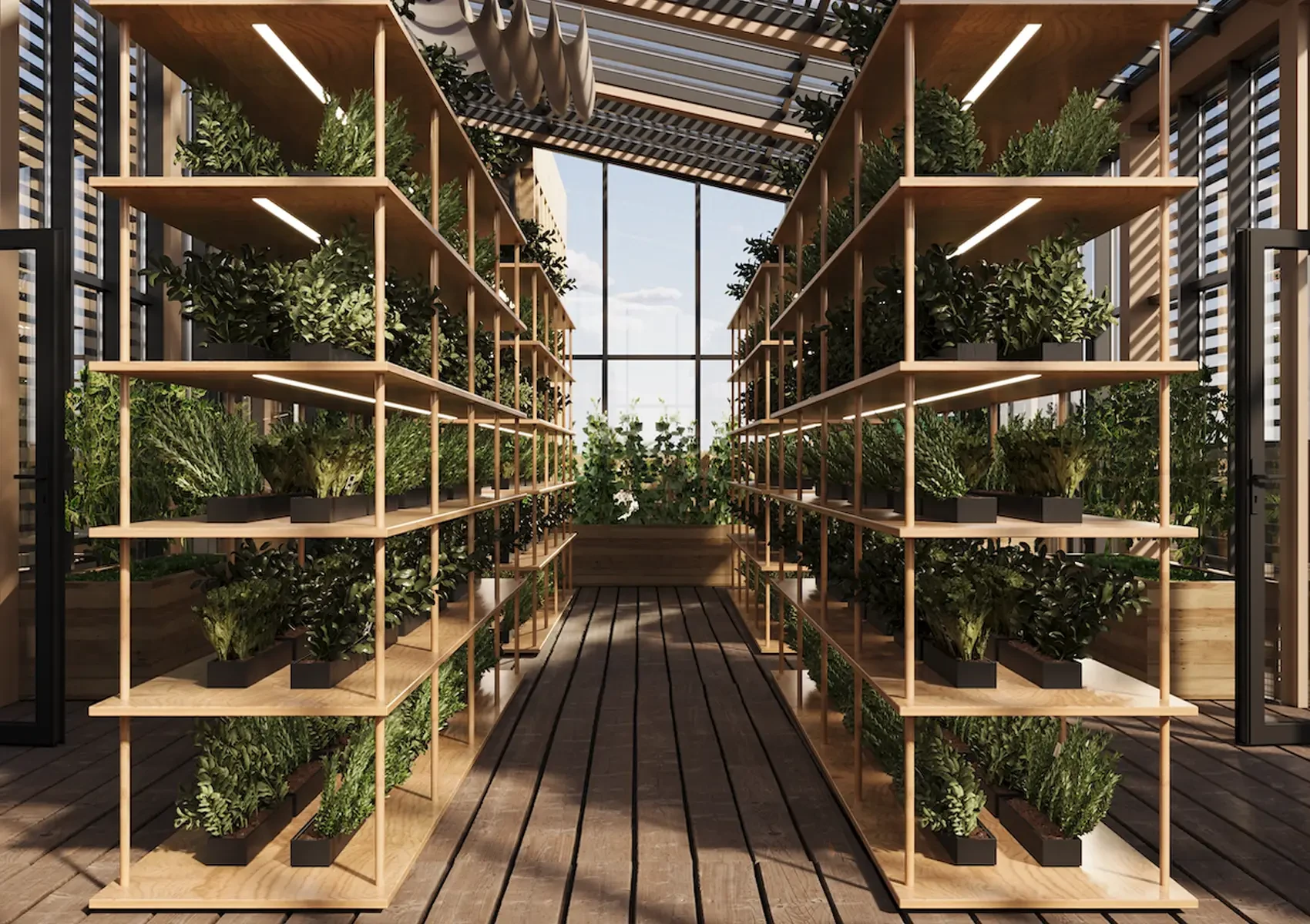 Arisha Terraces — 6