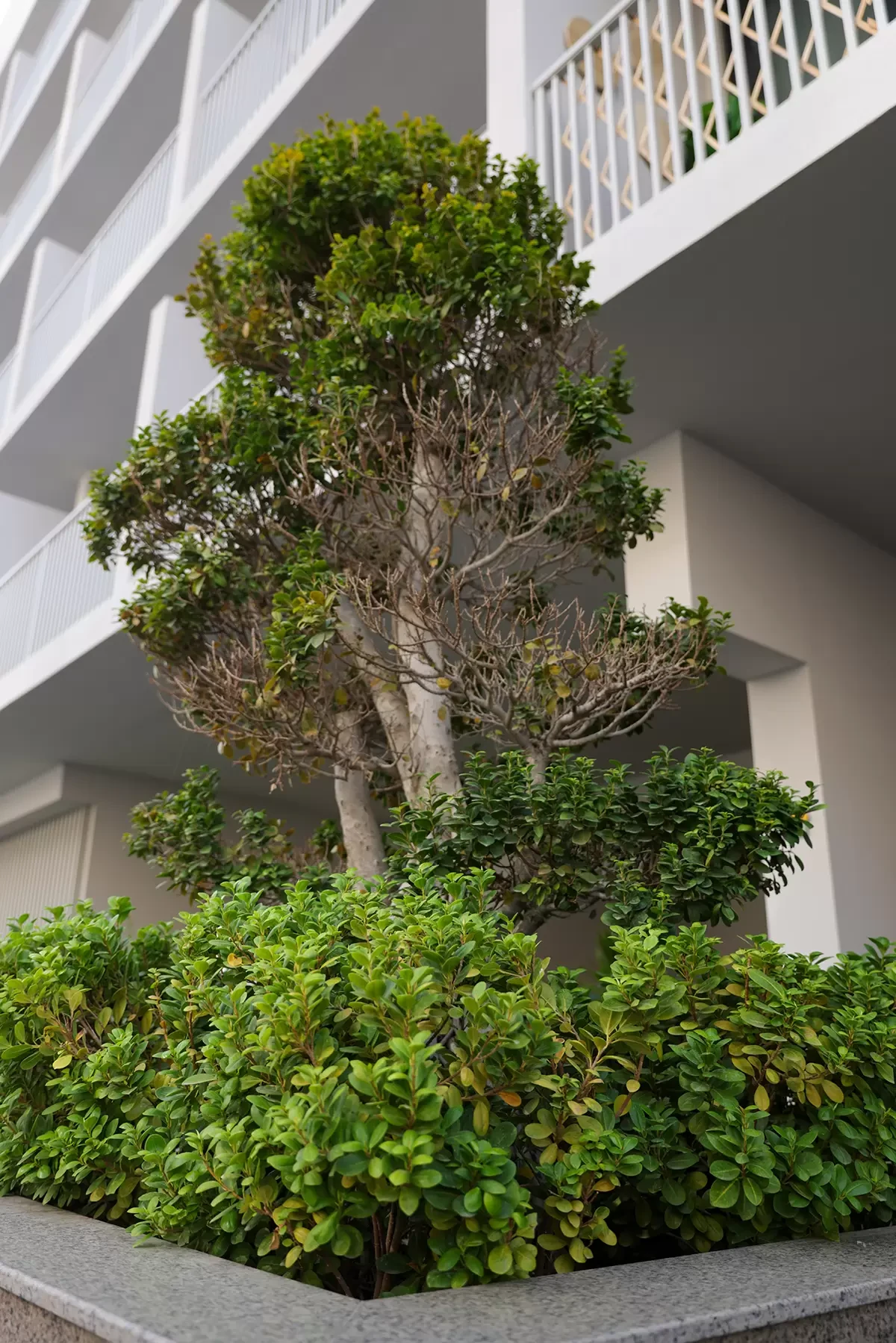 Luma 21 — Projektbild — in Jumeirah Village Circle