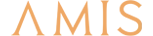 AMIS Development logo